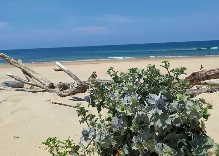 Beautiful Landes House Park And Tennis Near Ocean Casa vacanze